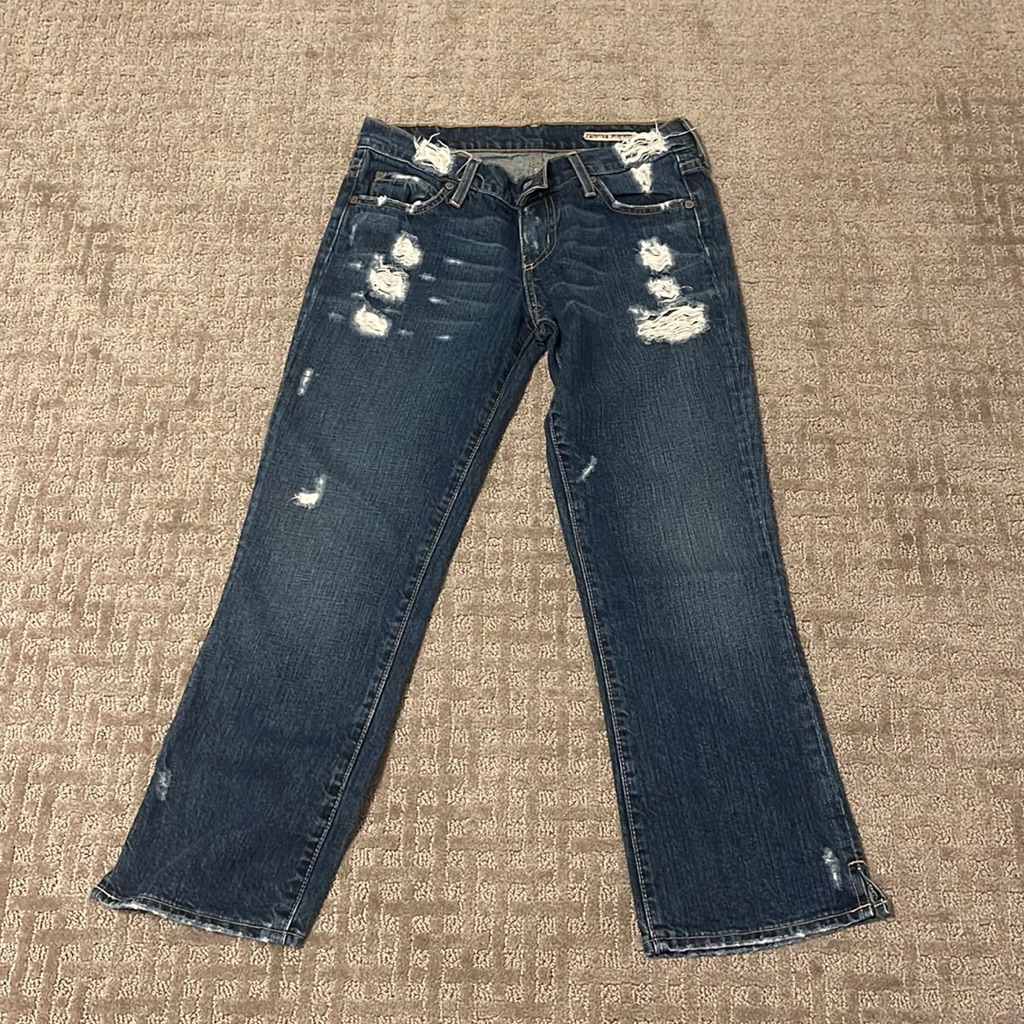 Chip & Pepper Distressed Cropped Jeans Size 25